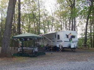 large shady sites