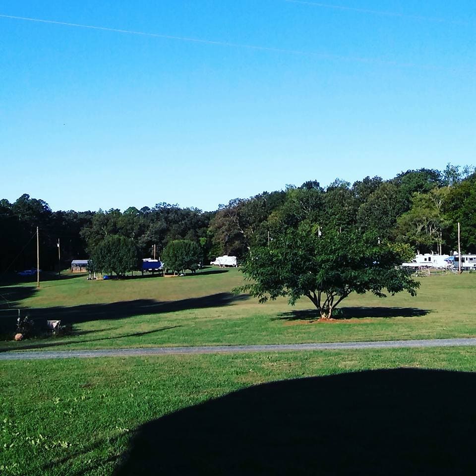 Wide grassy field with shade trees and RV campsites at Holly Bluff Family Campground