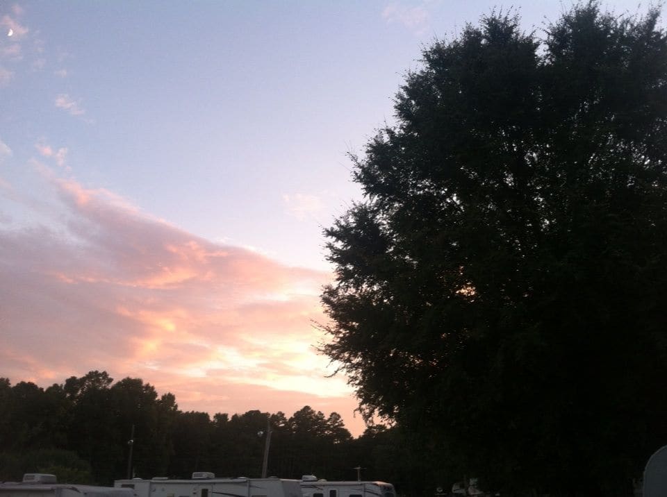 Pink and gold sunset sky over the treeline at Holly Bluff